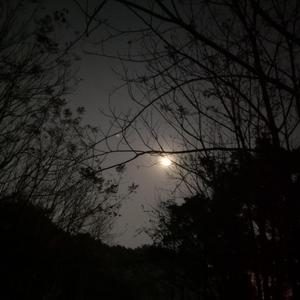 冒险王（Feat.PC.斑布）