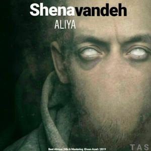 Shenavandeh