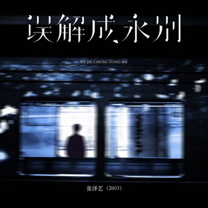 误解成永别