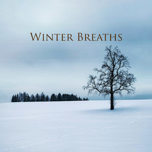 Winter Breaths
