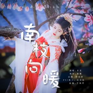南枝向暖-《嘉南传》姜保宁角色歌
