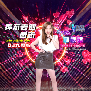 挥不去的思念 (DJ 九零版)