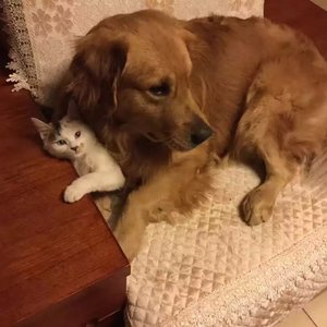 我们的以后（伴奏）