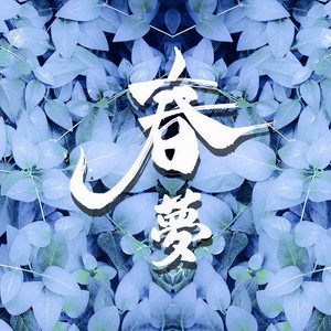 春梦 (DJ小刚版)