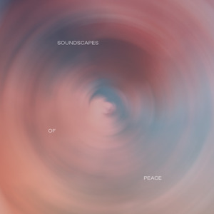 Ambient Forest (Rain)