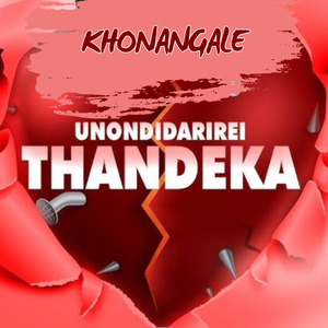 Unondidarirei Thandeka