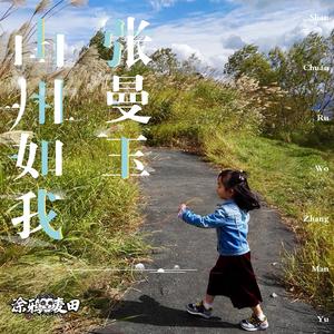 山川如我张曼玉