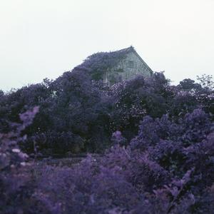 Gimme What I Need (Blockhead Remix) (Blockhead Remix)