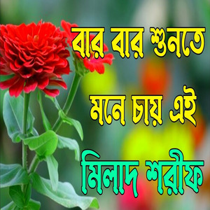 মধুর মিলাদ শরীফ। বাংলা মিলাদ শরীফ