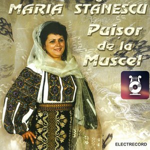 În zăvoiul înflorit