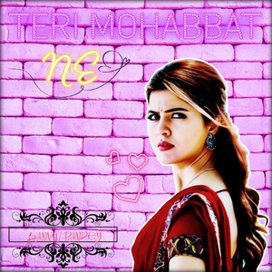 Teri Mohabbat Ne