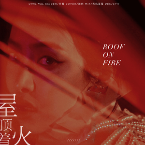 屋顶着火
