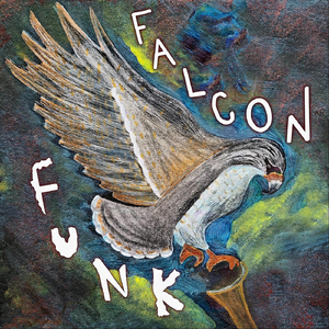 Falcon Funk (feat. Vivek Ayer)