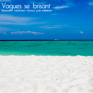 The Swan Of TuonelaOp. 22 3