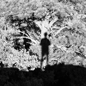dissociate