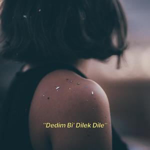 Dedim Bi Dilek Dile