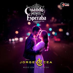 Tu LLegaste Cuando Menos Te Esperaba