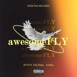 awesomeFLY (feat. CityBaby & LonBoy)