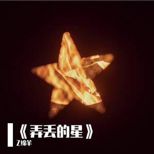 《弄丢的星》