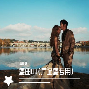 舞曲(广场舞专用)