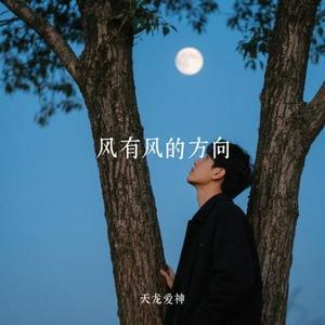 风有风的方向