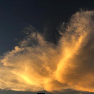 卡农(C大调)（翻自 George Winston）