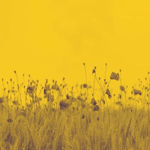 温和在家休息梦想