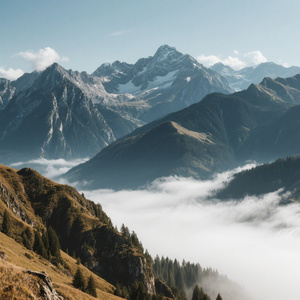 那年的落日晚风