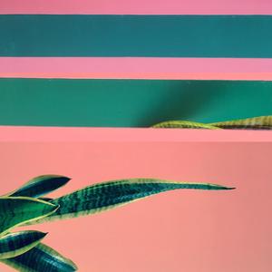 Turtle House (Lazy Days)