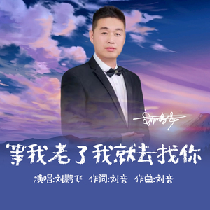 等你老了我就去找你