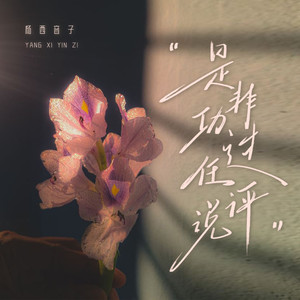 是非功过任评说