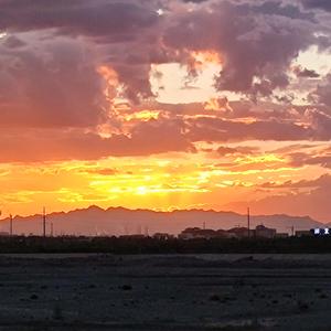 风雨彩虹铿锵玫瑰