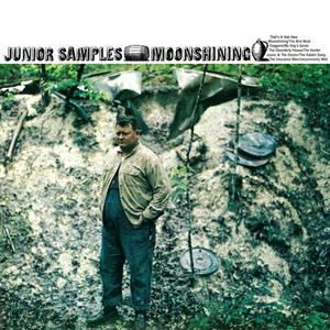 Doggone (My Dog's Gone)