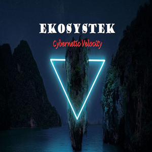 Cybernetic Velocity