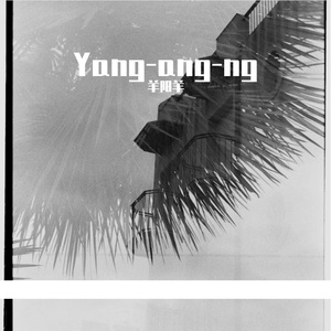 巷尾杂货铺的旧梦回响