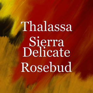 Delicate Rosebud