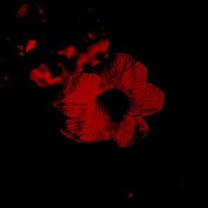 Bake no Hana in 22edo