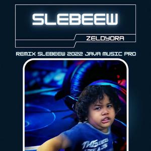 Slebeew