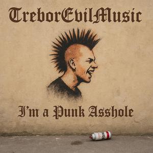 I'm a Punk Asshole