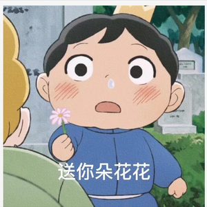 我看到了你眼里的星星