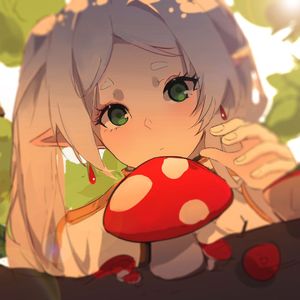 【哨笛】葬送的芙莉莲-Grassy Turtles and Seed Rats