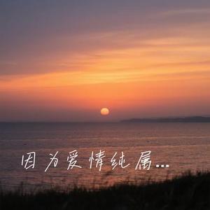 因为爱情纯属虚构 (Cover 赵乃吉)