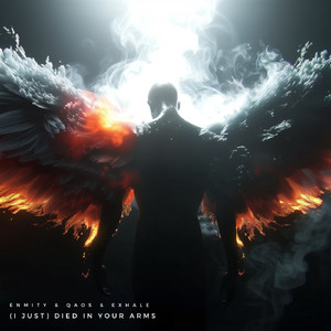 (I Just) Died In Your Arms