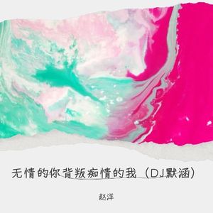 无情的你背叛痴情的我 (DJ默涵)
