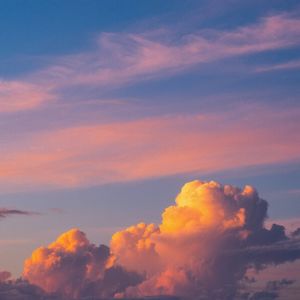 落花飘零随风去