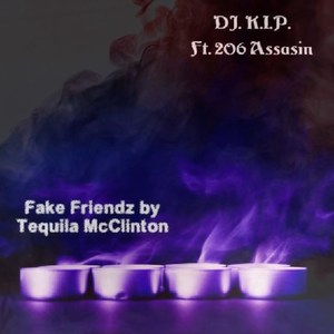 Fake Friendzzz
