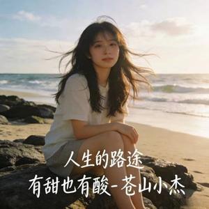 人生的路途 有甜也有酸 (微醺版)