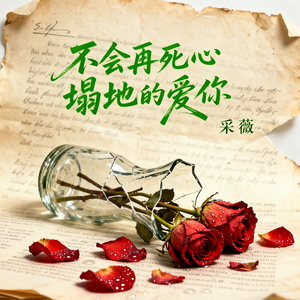 不会再死心塌地的爱你(伴奏)