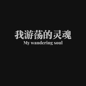 我游荡的灵魂