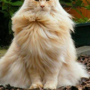 Murder In My Mind (Speed up)